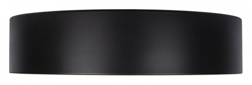 Накладной светильник Loft it Coin 10202 Black в Нижнем Новгороде фото 4