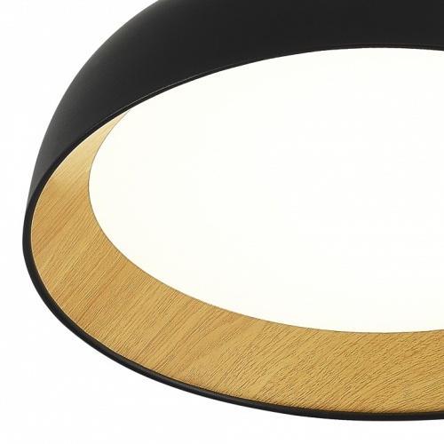 Накладной светильник EVOLUCE MUSE SLE1812-402-01 в Нижнем Новгороде фото 3