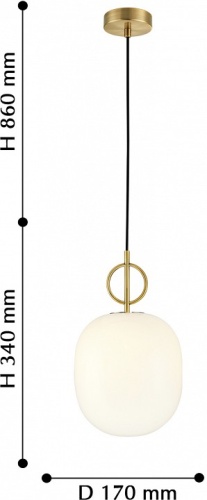 Подвесной светильник Favourite Sincera 2655-1P в Голицыно фото 2