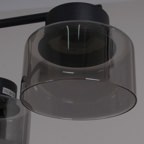 Люстра на штанге 47010-0.3-08 BK в Нижнем Новгороде фото 3