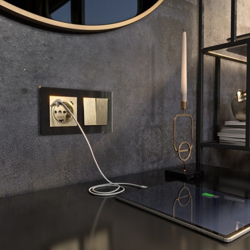 Розетка с заземлением и со шторками и USB, без рамки Werkel шампань рифленый W1171710 в Нижнем Новгороде фото 2