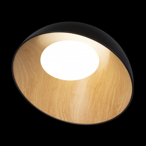 Накладной светильник Loft it Egg 10197/500 Black в Сельцо фото 3