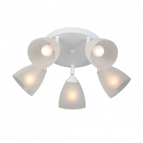 Потолочная люстра Vitaluce V4355 V4355-0/5PL в Нижнем Новгороде фото 3