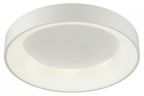 Накладной светильник Odeon Light Sole 4066/40CL в Ревде фото 4