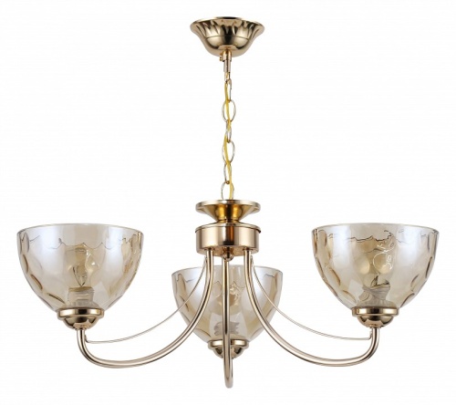 Подвесная люстра Rivoli Adrianne Б0060994 в Нижнем Новгороде фото 3