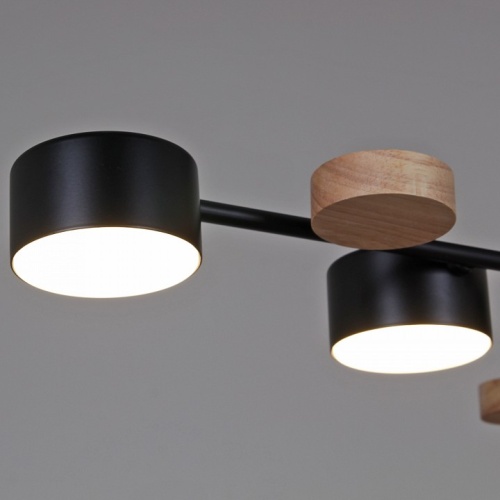 Люстра на штанге 03758 03758-0.3-10 BK+WOOD GX53 в Нижнем Новгороде фото 2