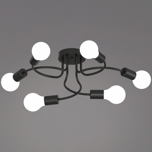 Потолочная люстра 01742-0.3-06 BK в Нижнем Новгороде фото 4