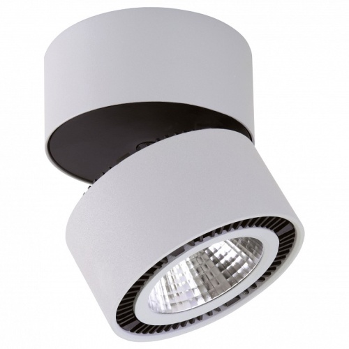 Накладной светильник Lightstar Forte Muro LED 213839 в Шахунье