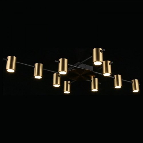 Потолочная люстра Aployt Elwisia APL.633.07.10 в Нижнем Новгороде фото 3