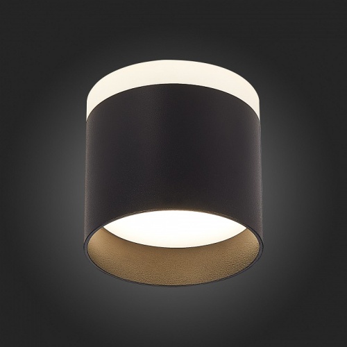 Накладной светильник ST-Luce Panaggio ST102.442.09 в Нижнем Новгороде фото 4