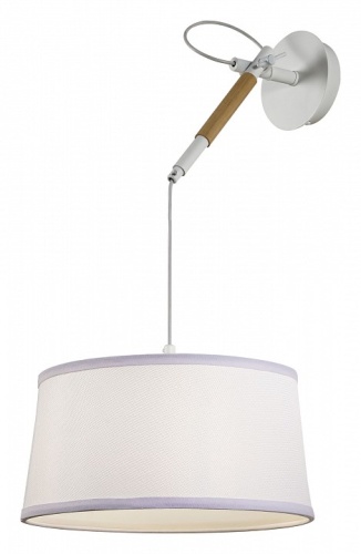 Светильник на штанге F-promo Eureka 3005-1P в Нижнем Новгороде фото 5