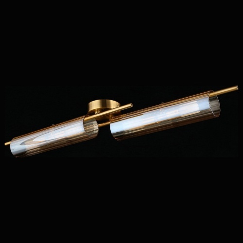 Накладной светильник Aployt Lusia APL.315.07.04 в Нижнем Новгороде фото 3