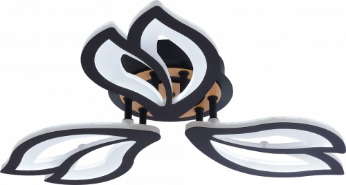 Люстра на штанге Rivoli Rivoli Lana 6195-703 в Нижнем Новгороде фото 2