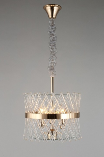 Подвесной светильник Aployt Toinet APL.734.06.03 в Нижнем Новгороде фото 2