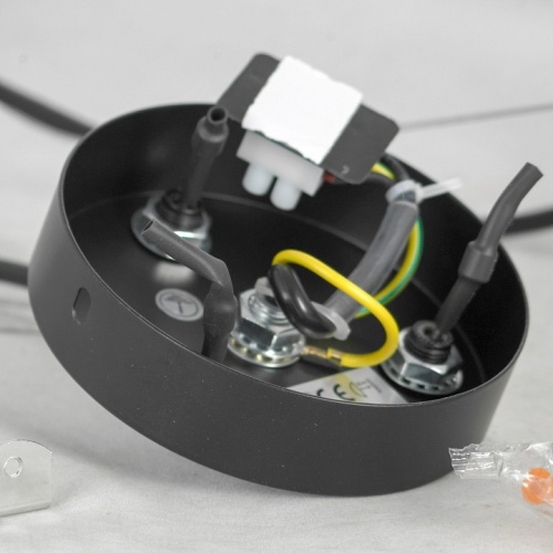 Подвесная люстра Lussole Fishers LSP-8797 в Нижнем Новгороде фото 2