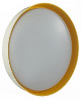 Накладной светильник Sonex COLOR 7711/ELN в Нижнем Новгороде
