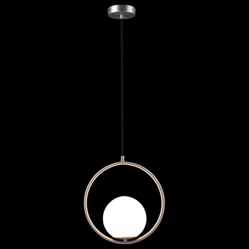 Подвесной светильник Loft it Glob LOFT2600-B в Нижнем Новгороде фото 2
