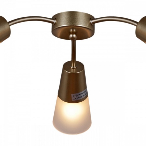 Потолочная люстра 01266-0.3-03B GOLD в Нижнем Новгороде фото 2