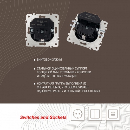 Розетка с заземлением и со шторкой и 2хUSB, без рамки Arte Milano am-203 203.47-1.black в Нижнем Новгороде фото 2