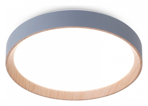 Накладной светильник Ambrella Light FZ FZ1320 в Нижнем Новгороде