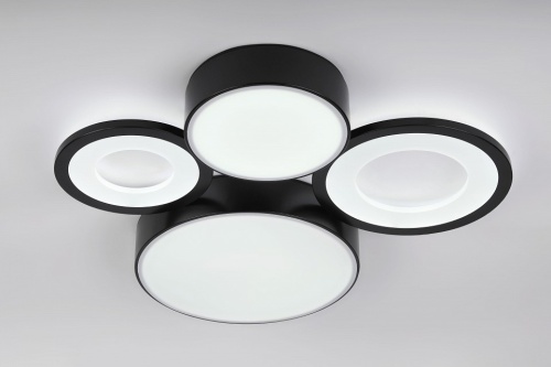 Потолочная люстра Rivoli Aliona Б0066451 в Нижнем Новгороде фото 9