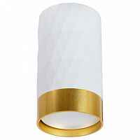 Накладной светильник Arte Lamp Fang A5558PL-1WH в Дзержинске