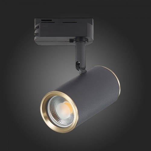 Светильник на штанге ST-Luce Cromi ST301.436.01 в Нижнем Новгороде фото 5