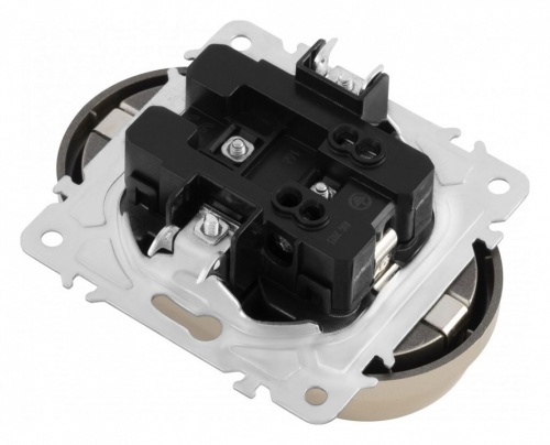 Розетка двойная с заземлением, без рамки Arte Milano am-202 202.40-2.shampan в Нижнем Новгороде фото 4