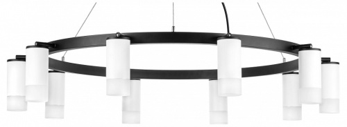 Подвесная люстра Lightstar Rullo LR0203601 в Нижнем Новгороде