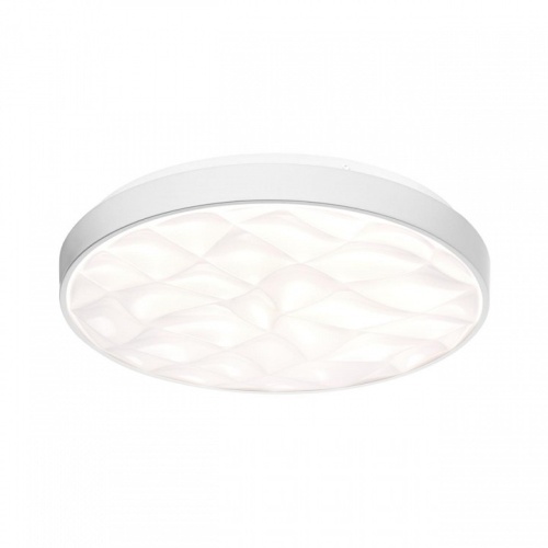 Накладной светильник Sonex PALE 7672/ELN в Нижнем Новгороде фото 6