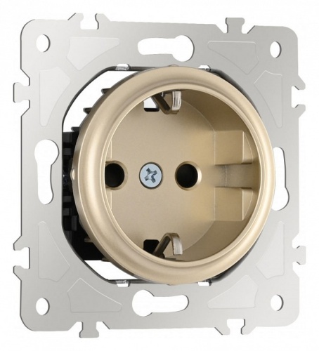 Розетка с заземлением и со шторкой, без рамки Arte Milano am-202 202.40-1.shampan в Нижнем Новгороде
