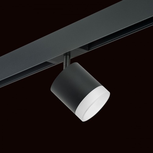 Светильник на штанге Lightstar Rullo PRO348780 в Нижнем Новгороде фото 4