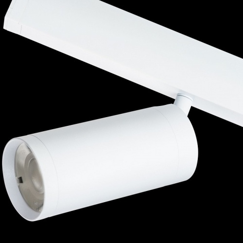 Светильник на штанге Lightstar Teta 205036 в Нижнем Новгороде фото 4