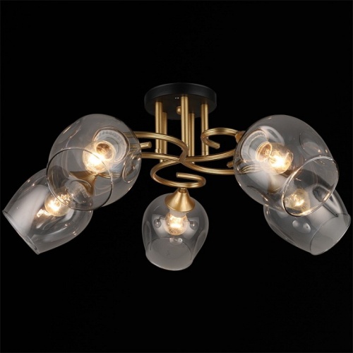 Потолочная люстра 04615-0.3-05 в Нижнем Новгороде фото 4