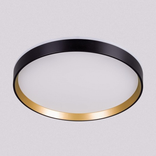 Накладной светильник Citilux ETALON CL750321R в Нижнем Новгороде фото 12