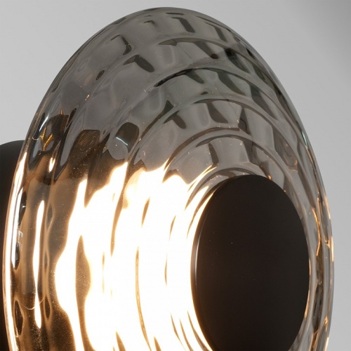 Накладной светильник Favourite Claros 4642-1W в Нижнем Новгороде фото 2