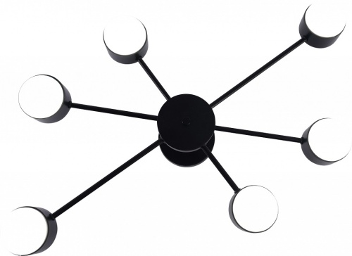 Потолочная люстра Rivoli Lesley 3185-306 в Нижнем Новгороде фото 2