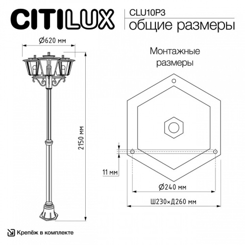 Фонарный столб Citilux FORTS CLU10P3 в Нижнем Новгороде фото 4