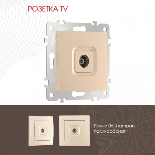 ТВ-розетка без рамки Arte Milano am-206 206.43-1.shampan в Нижнем Новгороде фото 4