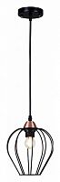 Подвесной светильник ILLUMICO  IL2001-1PA-05 BK ROSE GD в Нижнем Новгороде