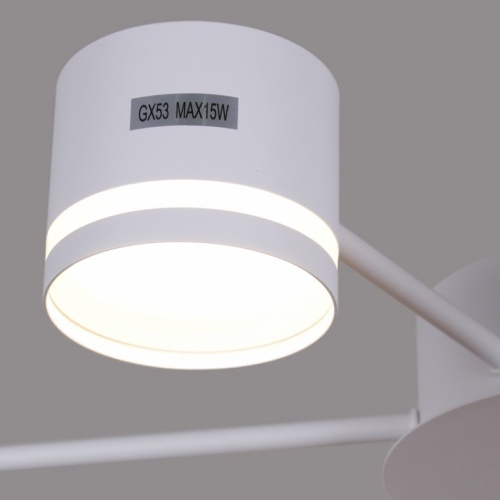 Потолочная люстра 06730-0.3-06 GX53 WT в Нижнем Новгороде фото 4