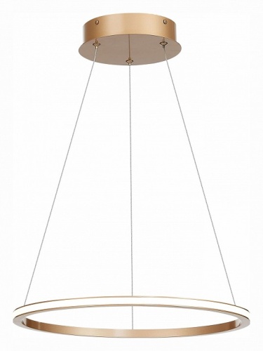 Подвесной светильник ST-Luce ST604 OUT ST604.243.22 в Нижнем Новгороде фото 2