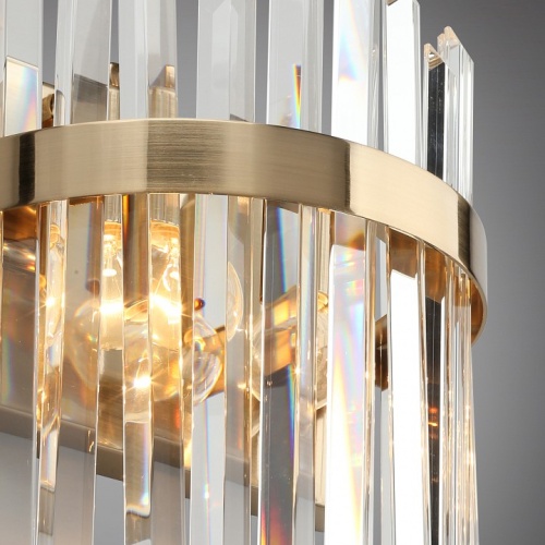 Накладной светильник Aployt Melisa APL.747.01.02 в Нижнем Новгороде фото 3