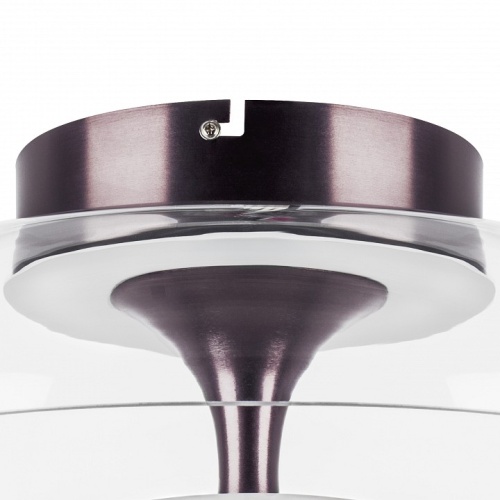 Накладной светильник Lightstar Celesta 809200 в Нижнем Новгороде фото 4