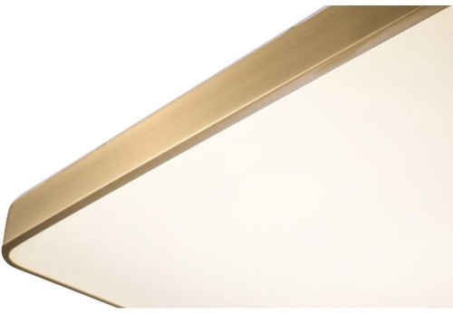 Накладной светильник Zortes Monna ZRS.1209.05 в Нижнем Новгороде фото 7