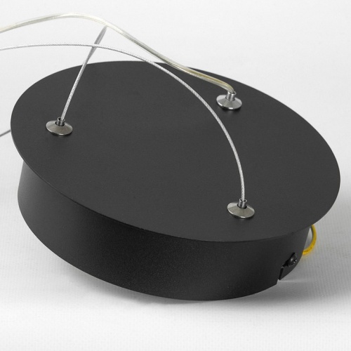 Подвесной светильник Lussole Hale LSP-7381 в Нижнем Новгороде фото 3