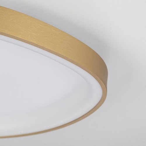 Накладной светильник Citilux GENKA SMART CL756A142 в Нижнем Новгороде фото 3