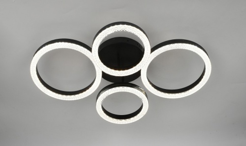 Потолочная люстра Rivoli Flora Б0068425 в Нижнем Новгороде фото 4