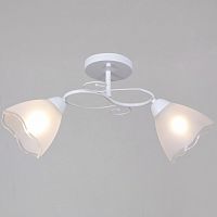 Светильник на штанге  33560-0.3-02 WH в Нижнем Новгороде