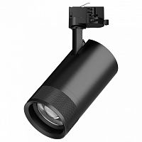 Светильник на штанге Lightstar Canno Pro C4407QT в Нижнем Новгороде